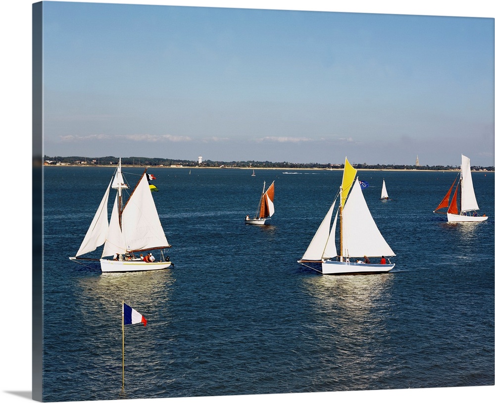 Boats in a regatta, Saint-Trojan-Les-Bains, Charente-Poitou, Marennes, Charente-Maritime, France