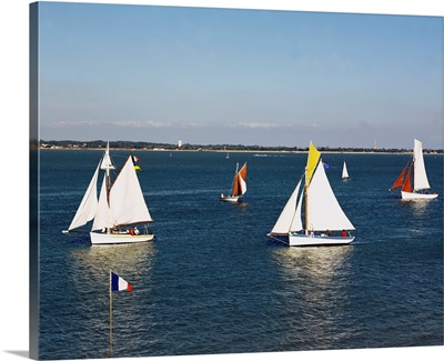 Boats in a regatta, Saint-Trojan-Les-Bains, Charente-Maritime, France