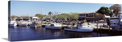 Boats moored at a harbor Tarpon Springs Pinellas County Florida