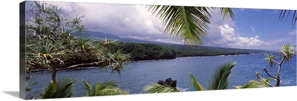 Panoramic photograph of the ocean under a cloudy sky seen from behind the leaves of a lush tropical forest.