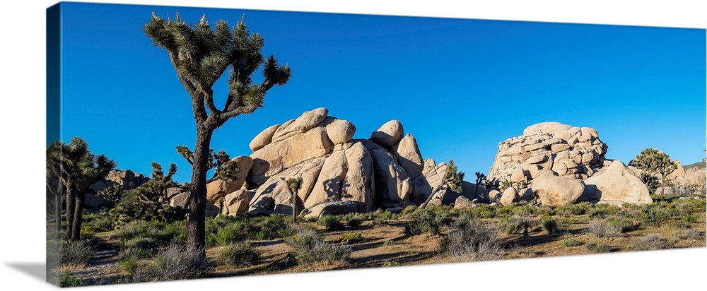 Boulders in a desert, joshua tree national park, san bernardino county, riverside county, southern california, california,...