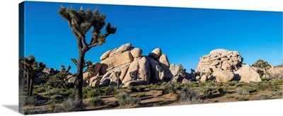 Boulders In A Desert, Joshua Tree National Park, Southern California, California, USA