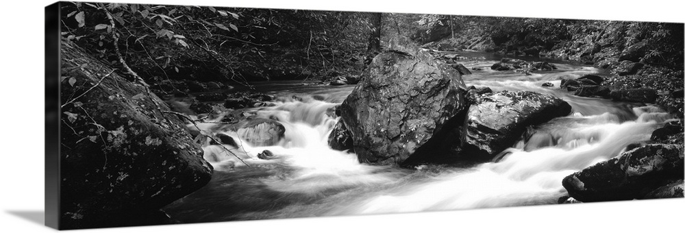 Bradley Fork in Bradley Fork Trail Great Smoky Mts National Park NC