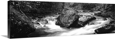 Bradley Fork in Bradley Fork Trail Great Smoky Mts National Park NC