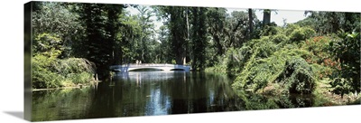 Bridge across a swamp, Magnolia Plantation and Gardens, Charleston, Charleston County, South Carolina,