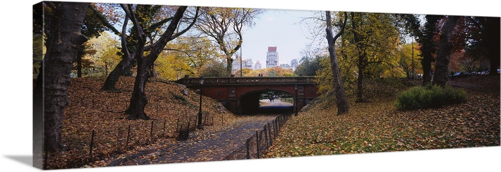 Panoramic photograph of overpass with tunnel walkway below lined by trees with city skyline in the distance.