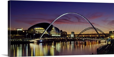 Bridges across a river, Tyne River, Newcastle Upon Tyne, Tyne And Wear, England