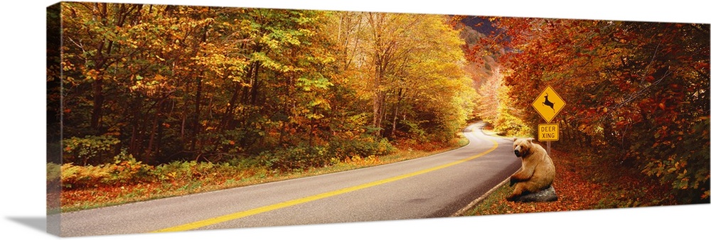 Panoramic photograph of road winding through fall forest with a posted deer crossing sign.