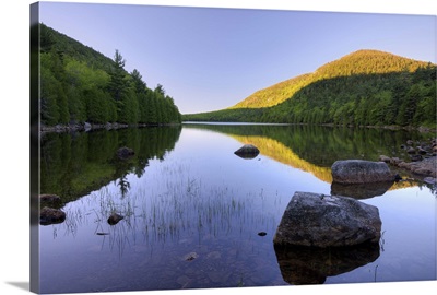 Bubble Pond at dawn, Acadia National Park, Maine