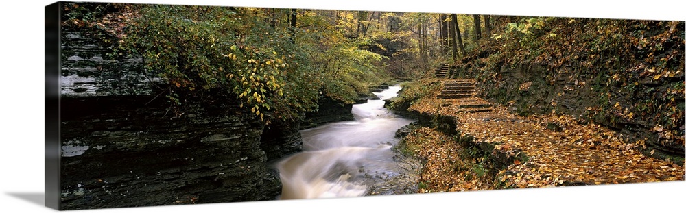 Buttermilk Creek Ithaca NY