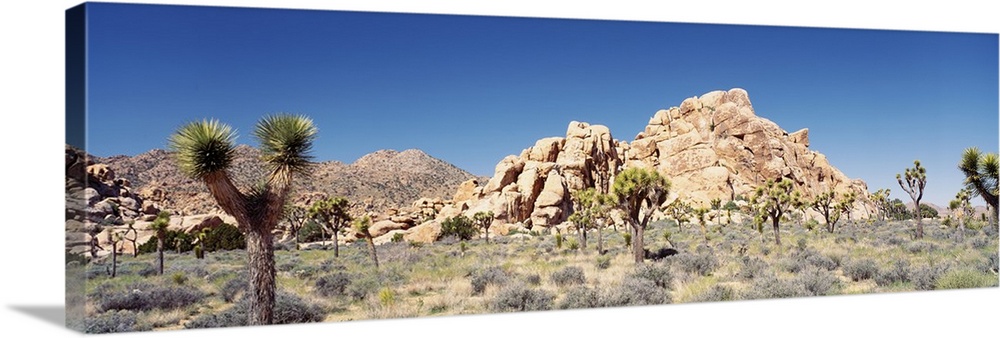 California, Joshua Tree National Monument, Rock formation in a arid landscape