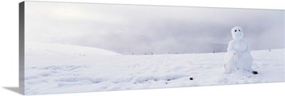 California, Kneeland, Snowman on a polar landscape