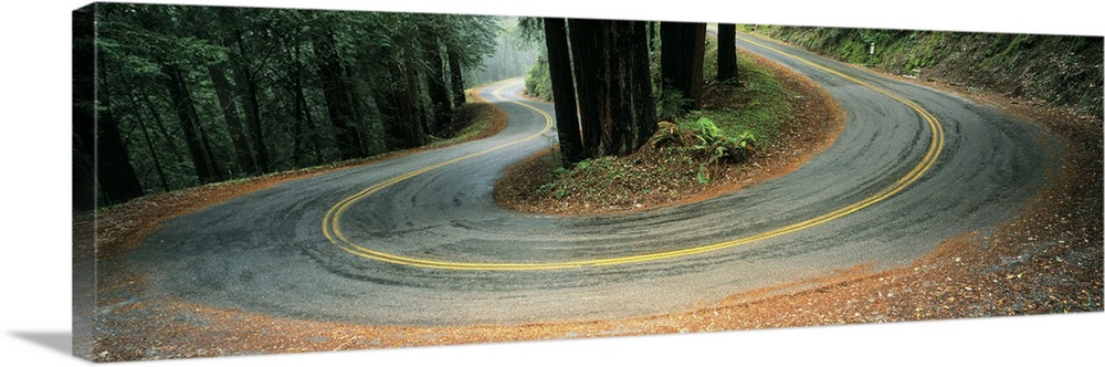 California, Marin County, road