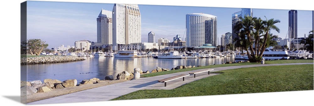 View of San Diego, CA Marina Park with palm trees and skyline.
