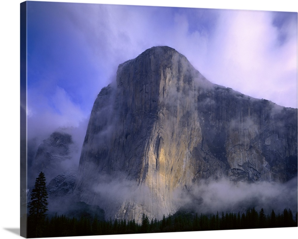 Large photo on canvas of a mountain in Yosemite bathed in fog with a dense forest below it.