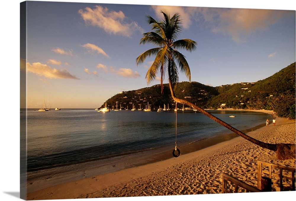 Photograph of beach front with palm tree that has a tire swing.  There are sailboats in the water and along the water's edge.