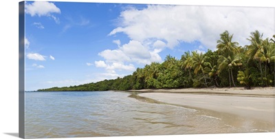 Cape Tribulation, Daintree River National Park, Queensland, Australia