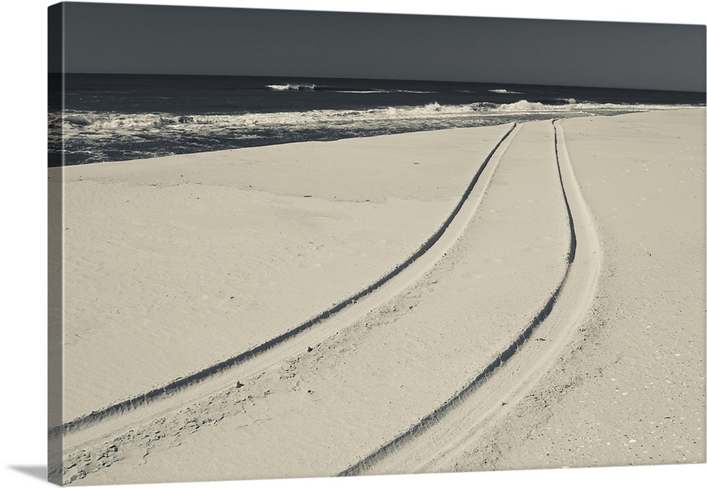 Car tracks on sand on the beach, Westhampton Beach