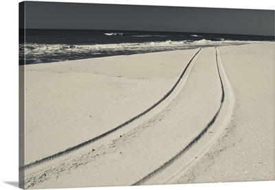 Car tracks on sand on the beach, Westhampton Beach