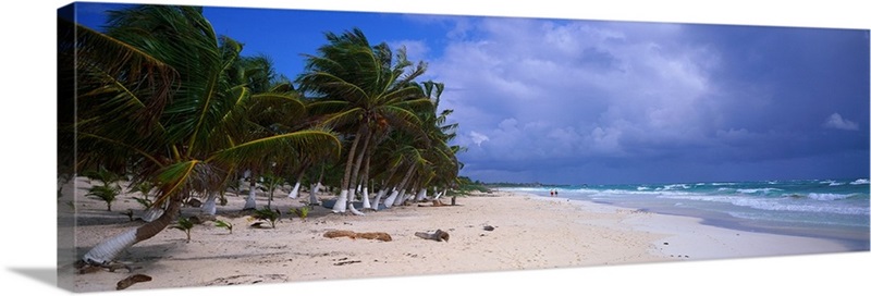 Caribbean Beach Quintana Roo Mexico | Great Big Canvas