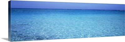 Caribbean Sea, Cayman Islands, Grand Cayman, Rum Point