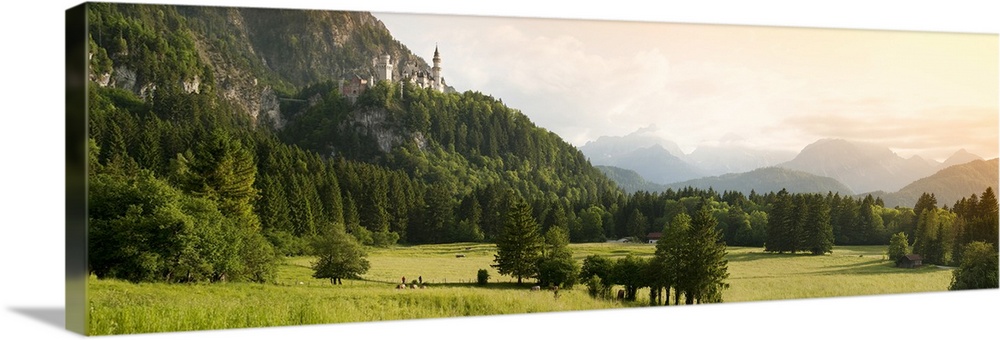 Castle on a hill, Neuschwanstein Castle, Schwangau, Bavaria, Germany