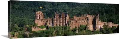 Castle on a hillside, Heidelberg, Baden-Wurttemberg, Germany