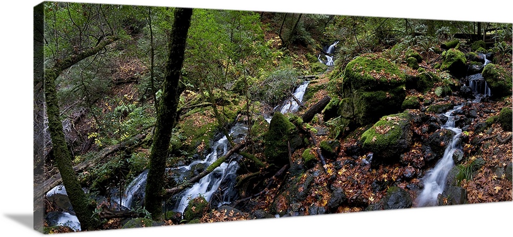 Cataract Falls Hiking Trail, Fairfax, Marin County, California