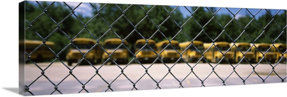 Chain-link fence with school buses in the background, Massachusetts