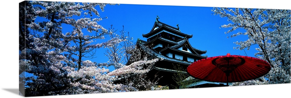 Cherry Blossom Matsue Castle Japan Wall Art, Canvas Prints, Framed Prints,  Wall Peels Great Big Canvas
