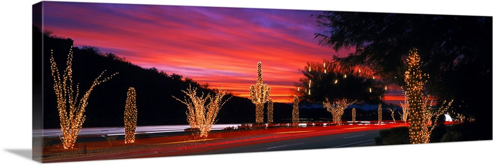 Panoramic view of a street in Arizona with the cactus, trees and shrubs covered with Christmas lights under a sunset sky.