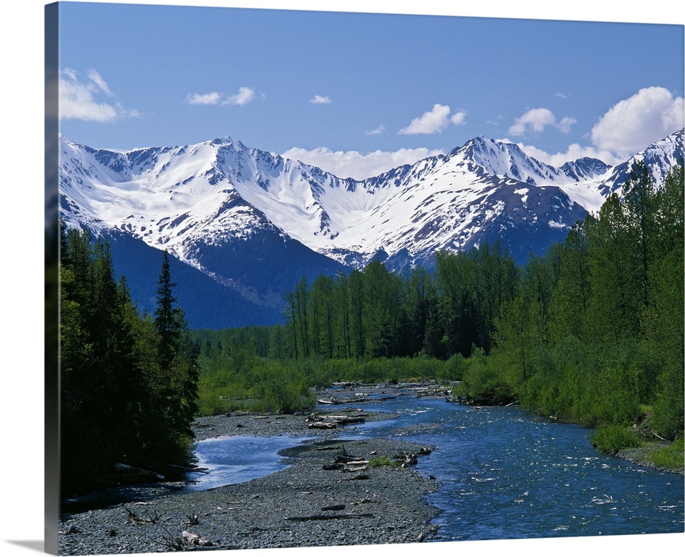 Large photograph of a stream running through a forest with the snowy Chugach Mountains in Alaska (AK) in the background.
