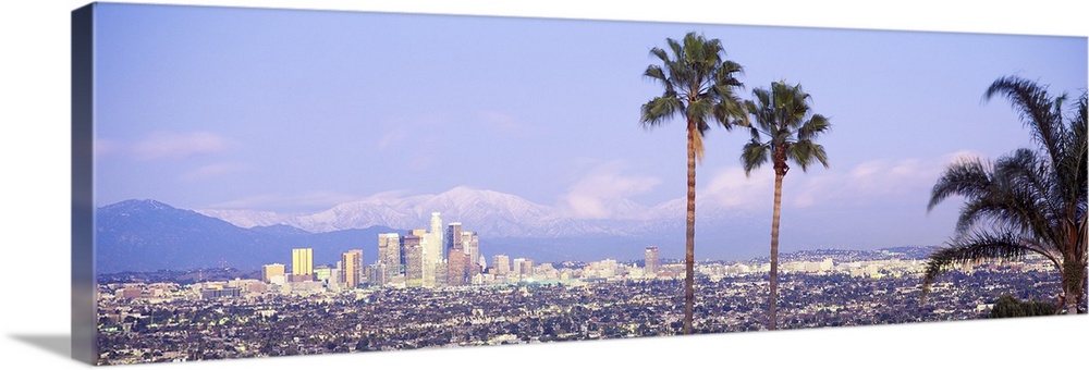 Panoramic photograph of west coast city skyline with mountains in the distance and palm trees in the foreground under a cl...