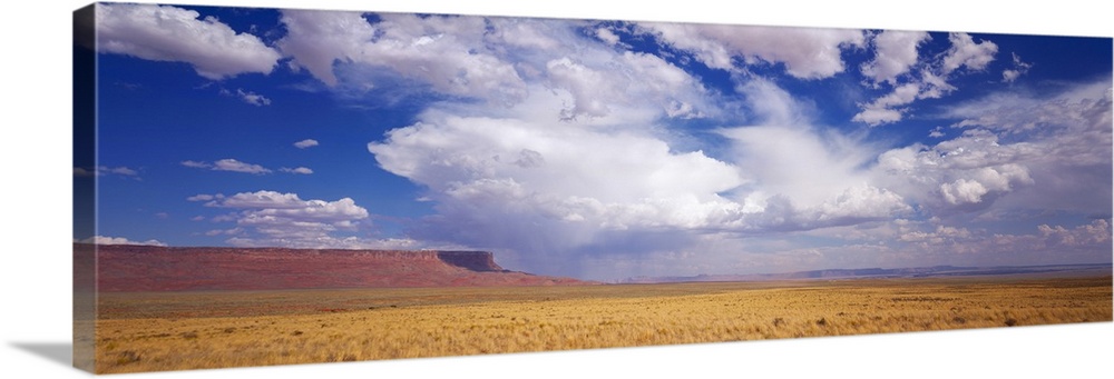 Cliffs on a landscape, Vermillion Cliffs, Page, Arizona, USA