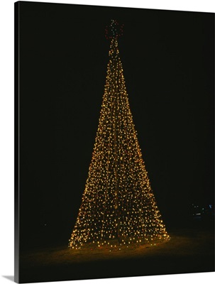 Close-up of a Christmas tree lit up at night, Tempe, Maricopa County, Arizona