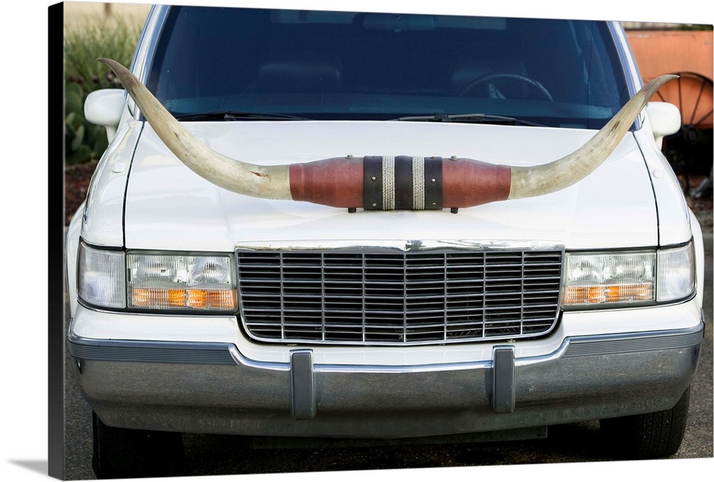 Close-up of a Limousine with cow horns on the hood, Amarillo, Texas