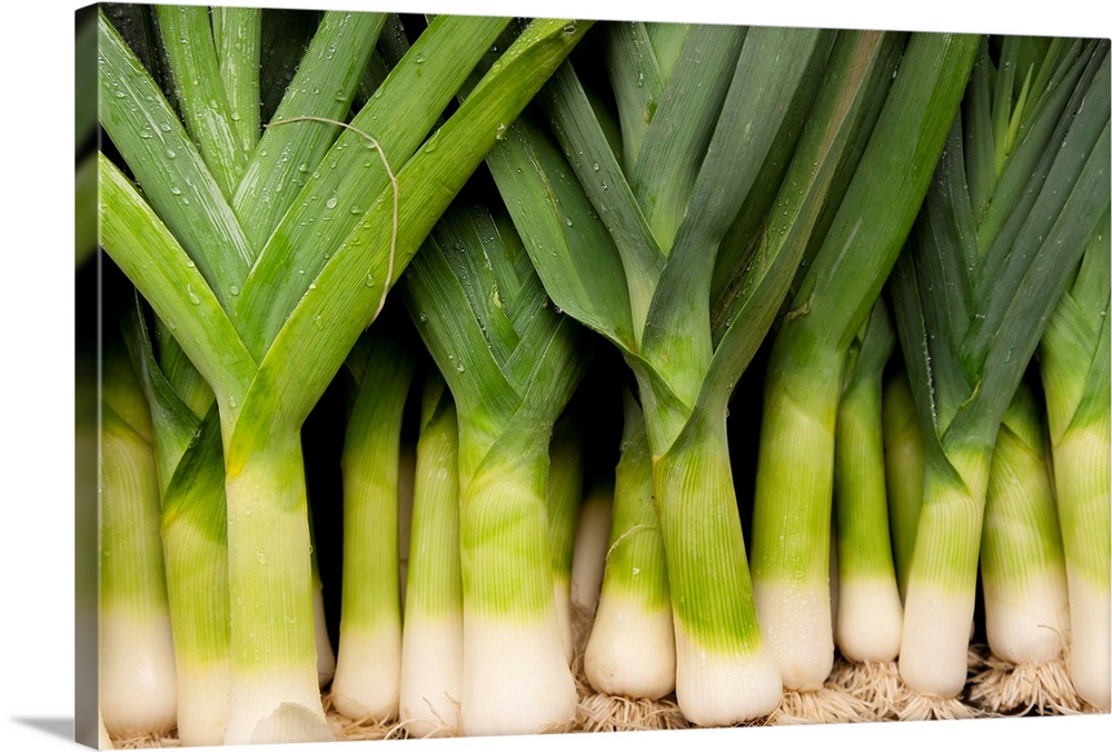 Close-up of bunch of leeks