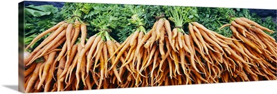 Close-up of carrots at a market stall