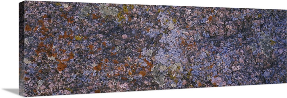 Close-up of feldspar granite, Sherman Mountains, Albany County, Laramie County, Wyoming