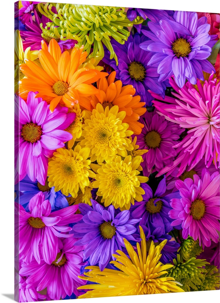 Close-up of floral arrangement.