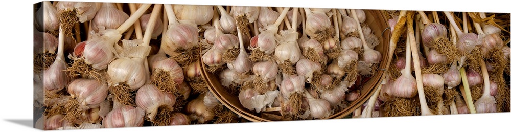 Close-up of garlic for ale at market