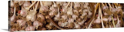 Close-up of garlic for ale at market