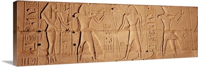 Close-up of hieroglyphics, Luxor, Egypt