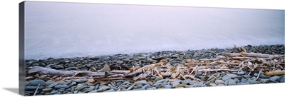 Close-up of logging debris and pebbles at the coast, Robin Hood Bay, Nelson, South Island, New Zealand