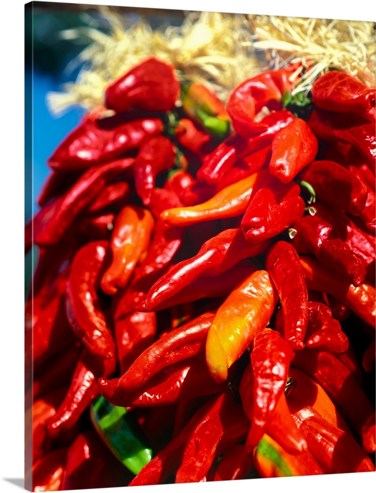 Close-up of red chilies, taos, new mexico, USA.
