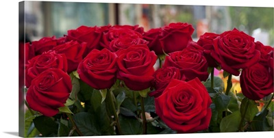 Close-up of red roses in a bouquet during Sant Jordi Festival, Catalonia, Spain