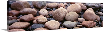 Close-up of rocks, Acadia National Park, Maine