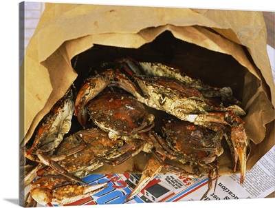 Close-up of steamed crabs in a paper bag, Maryland