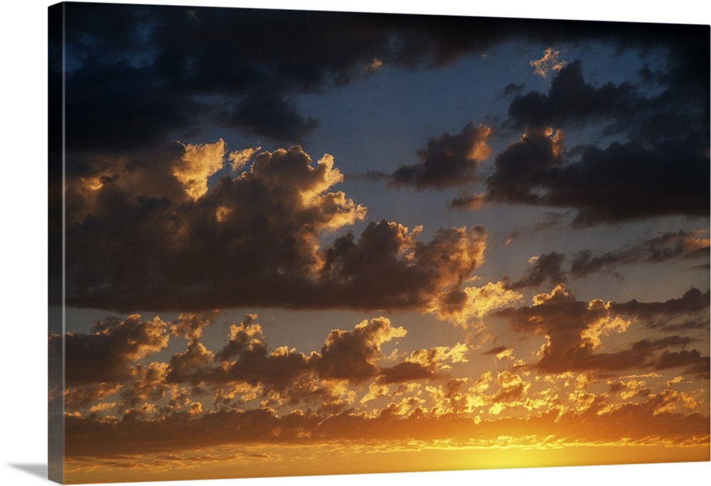 Horizontal photograph on a large canvas of a vibrant, golden sunset beneath a darkening sky full of billowing clouds.