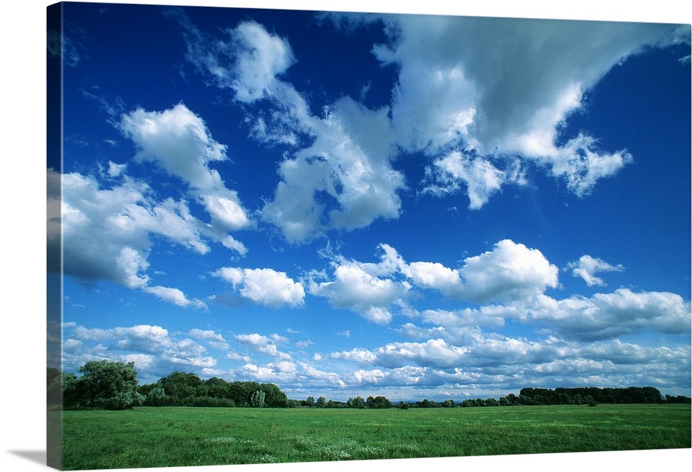 Large clouds float in the sky over a vast green field with trees far off in the distance.